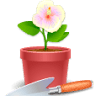 Floristeria Gesi