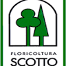 Floricoltura Scotto