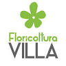 Floricoltura Villa