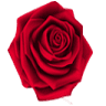 Floricultura Corbeille