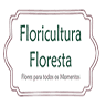 Floricultura Floresta