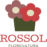 Floricultura Rossol | Loja de Flores e Presentes em Lajeado