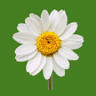 Floridee Blumenversand GmbH