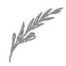 Florietta Meisterfloristik