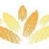Cosmetology in Leuven / florilla.be