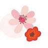 Florilook