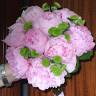 Floristeria Puri