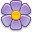 Floristería Agapanto
