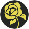 FLORISTERÍA EN CALI NC