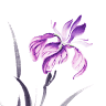 Flor de Lis