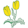 Floristería La Ilusión