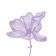 Florería Lilas Boisaca