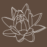Wunderblume