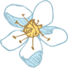 Apple Blossom Florist