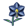 Floriculture Orquidea Negra
