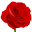 FLORS JOAN - Flors i plantes online