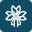 Floweraura - Flower and cake Shop in Mohali