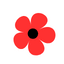 Deluxe flowers