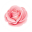 Flower Patch
