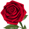 Flowers By Bob