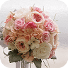 Studio Poji (POSY) Flowers