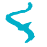 Flowtrack