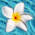 luxury holiday villa & apartment. Salobrena.Costa Tropical