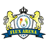 Flux Arena