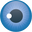Focus Vitamins