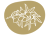 Forage Safaris