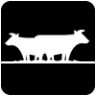 Fords Dairy