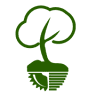 Forestfalt Servicii