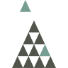 Forest Insurance