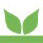 Forfar Open Garden