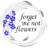 Forget Me Not Flowers