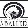 Distribuidora de Forrajes Caballero S.A De C.V