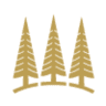 Forsterbräu Meran