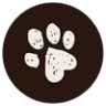 Forth Valley Veterinary Clinic