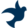 forumZFD Philippines