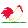 Foster Farms Inc
