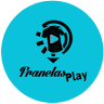 Franelasplay Store