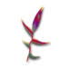 Frank Family Law Practice