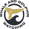Freebird One | Avistamiento de Ballenas en Tenerife | Whale watching Tenerife
