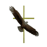 Freedom Worship Center, West Boylston, MA
