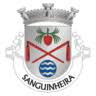 Parish Council of Sanguinheira