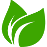 Fresh & Green