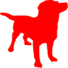 Berkeley Animal Care Services