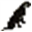 Friends of Falmouth Dogs