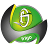 Frigo Elektrodrive GmbH