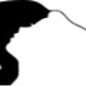 Salon Augustin